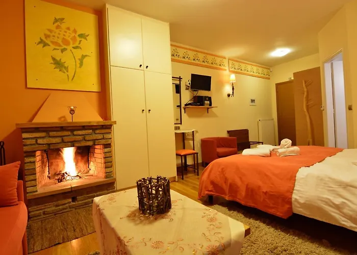 Mavraganeiko 招待所 4*